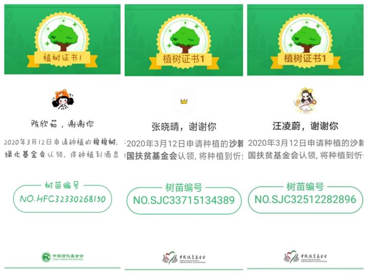 bevictor伟德官方网站