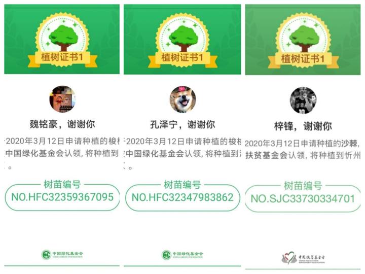 bevictor伟德官方网站