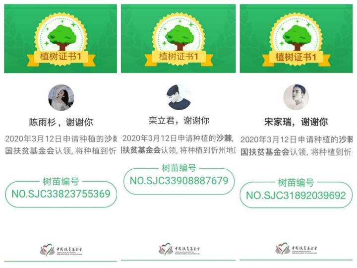 bevictor伟德官方网站