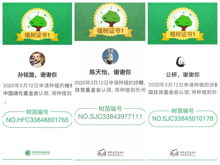 bevictor伟德官方网站